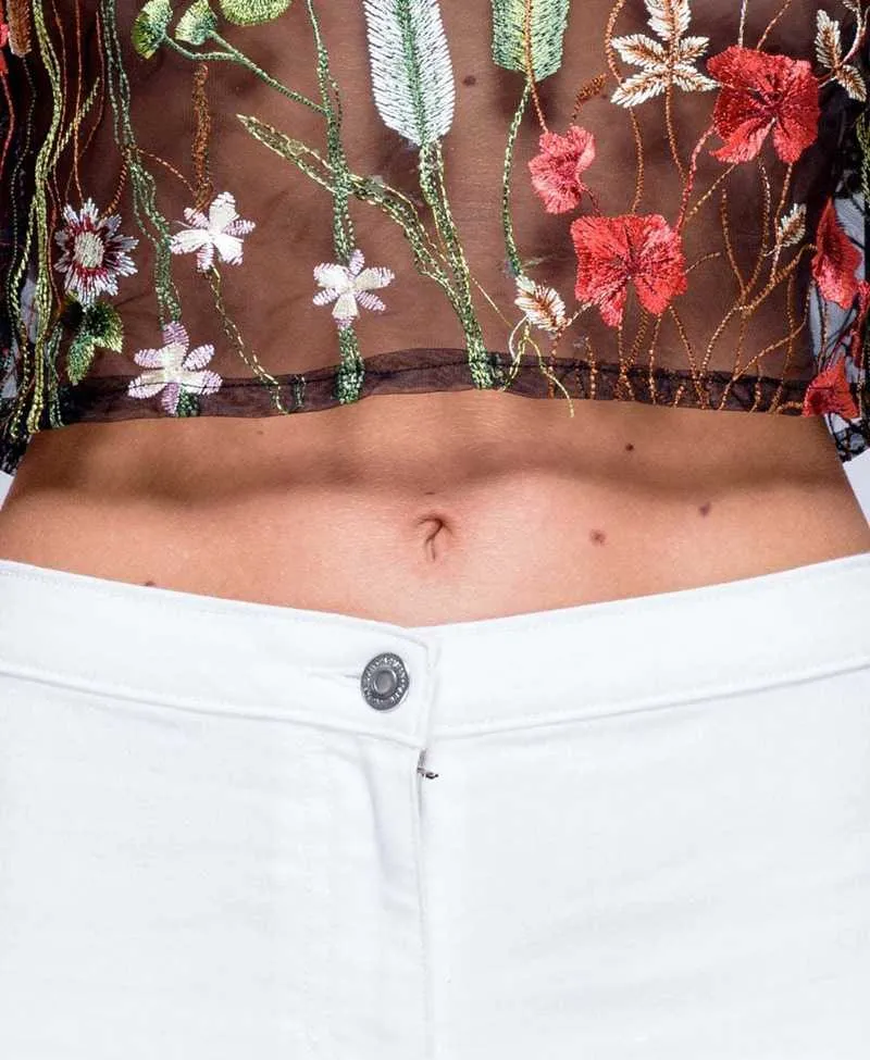 Bohemian Floral Embroidered Black Mesh Crop Top