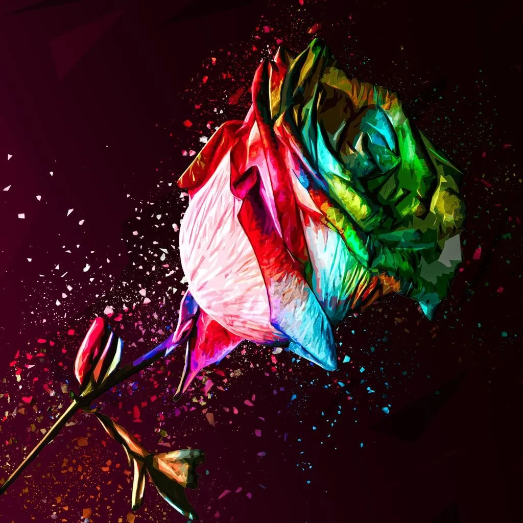 Colored Rose - Milos Karanovic