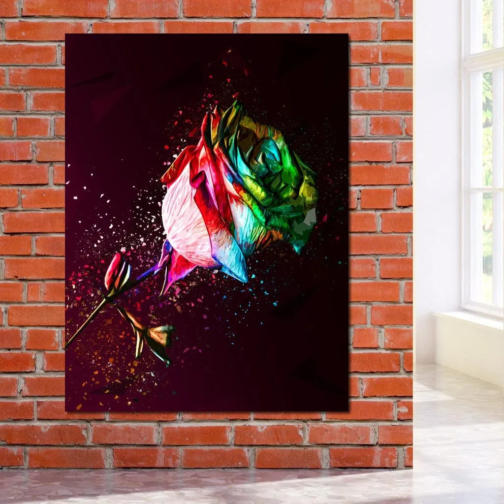 Colored Rose - Milos Karanovic