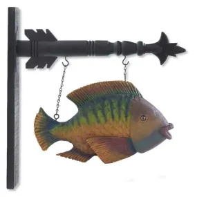 Multi-Colored Fish Arrow