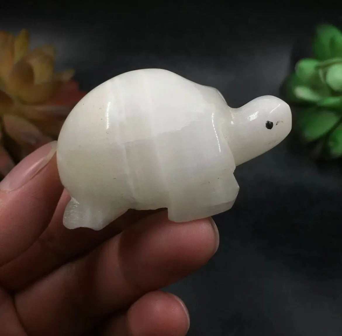 Natural White Agate gemstone Turtle