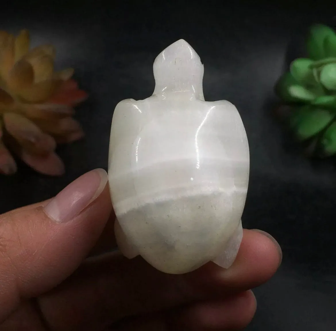 Natural White Agate gemstone Turtle